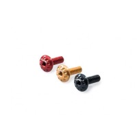 CNC Racing Coolant tank cover screw For Ducati Monster 1200/821 (all) (1)